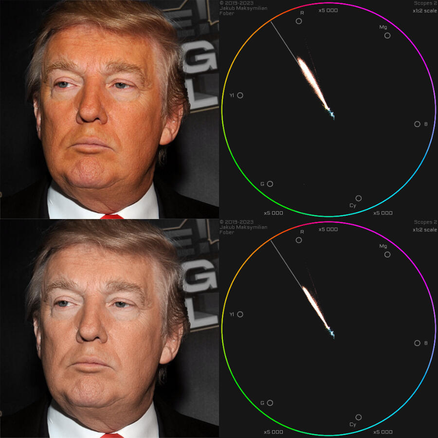 Skin Vector Color Image Camera Vectorscope